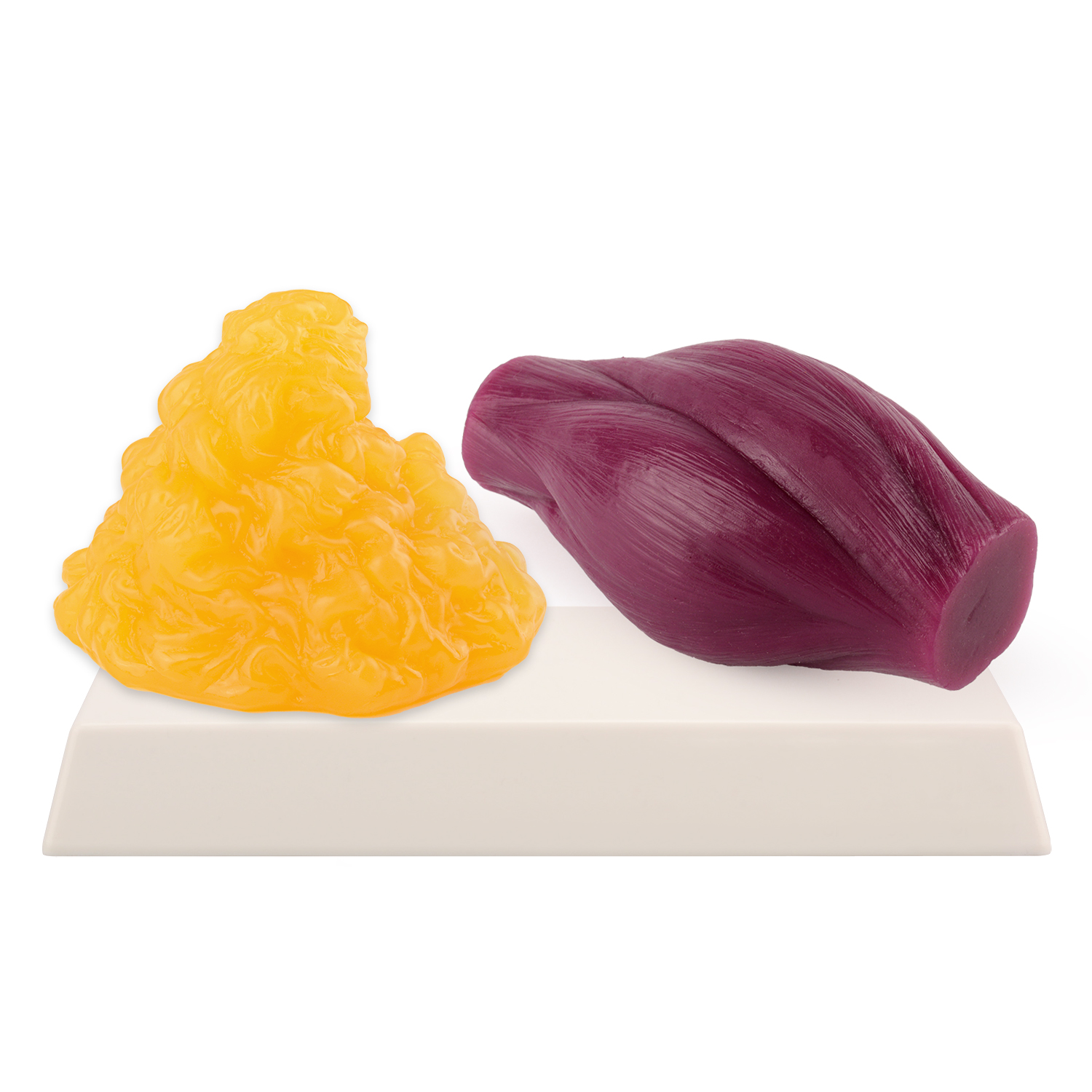 1lb Fat Replica & Muscle to Ke - Nutrition In Fitness recensione e prezzo